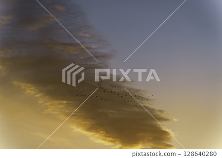 一群鳥兒在夕陽的天空中飛翔 一群鳥兒在夕陽的天空中飛翔 128640280