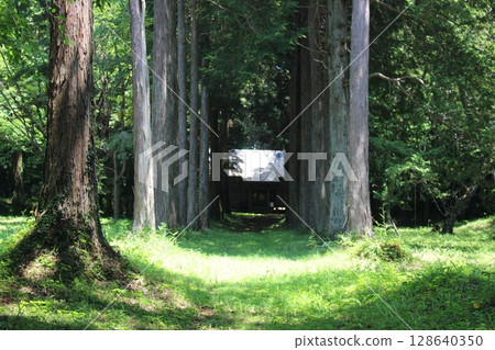 Senbon Castle 128640350