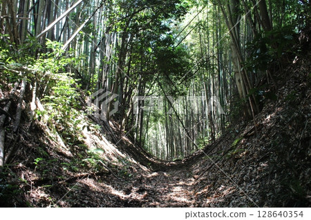 Senbon Castle 128640354