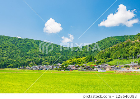 滋賀縣長濱市琵琶湖西阿西町的田園風光 128640388