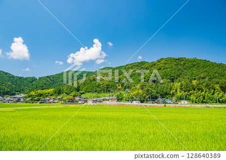 滋賀縣長濱市琵琶湖西阿西町的田園風光 滋賀縣長濱市琵琶湖西阿西町的田園風光 128640389