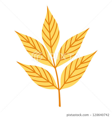 Yellow ash leaf branch isolated on white background. Simple autumn fall leaf for pattern, banner, sticker. Hello autumn card. Flat vector illustration. 128640742
