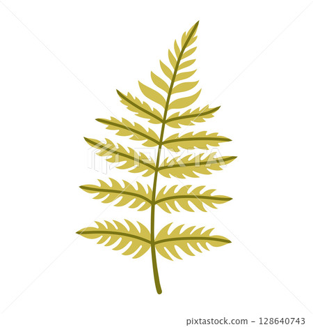 Green fern leaf branch isolated on white background. Simple autumn fall leaf for pattern, banner, sticker. Hello autumn card. Flat vector illustration. 128640743
