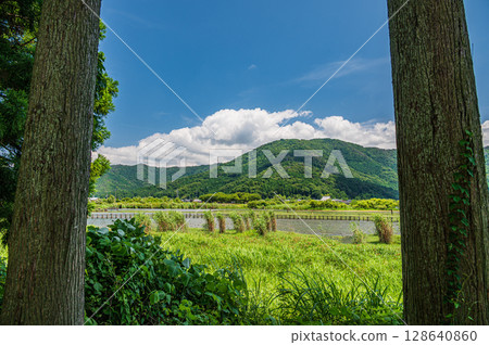 滋賀縣長濱市琵琶湖的夏季風景 滋賀縣長濱市琵琶湖的夏季風景 128640860