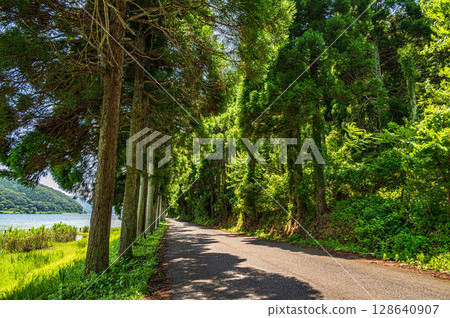Lakeside road of Lake Biwa, Nagahama City, Shiga Prefecture 128640907