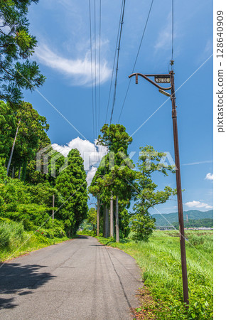 Lakeside road of Lake Biwa, Nagahama City, Shiga Prefecture 128640909