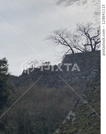 Hikone castle 128641115