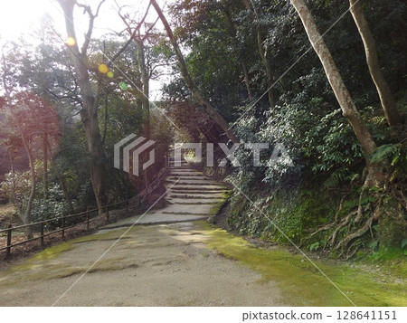 彥根城堡 彥根城堡 128641151
