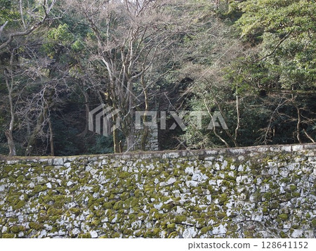 彥根城堡 彥根城堡 128641152