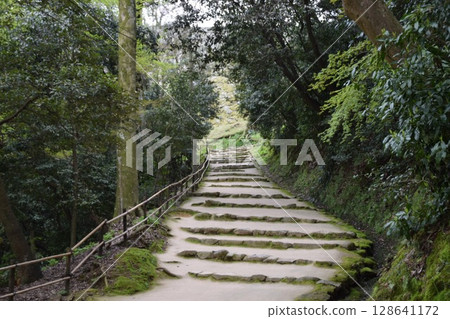 Hikone castle Hikone castle 128641172