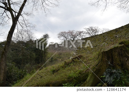 Hikone castle 128641174