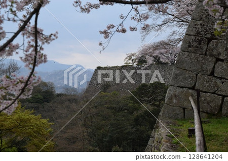 彥根城堡 彥根城堡 128641204