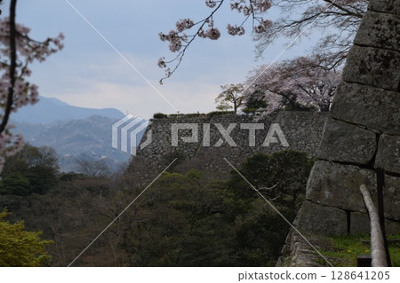 彥根城堡 彥根城堡 128641205