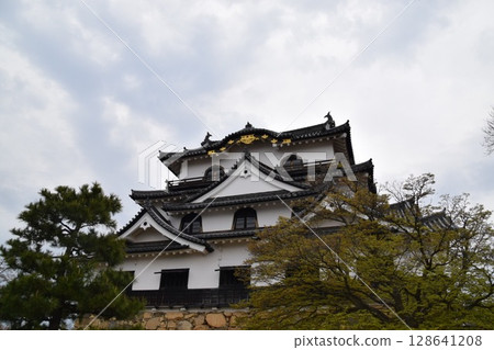 彥根城堡 128641208