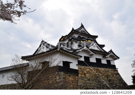 Hikone castle Hikone castle 128641209
