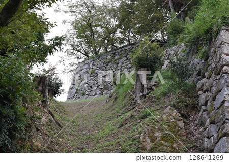Hikone castle Hikone castle 128641269