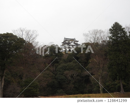 彥根城堡 128641299