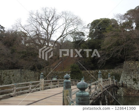Hikone castle Hikone castle 128641300
