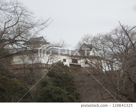 Hikone castle Hikone castle 128641325