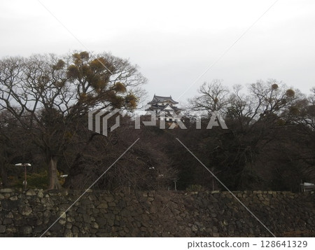 Hikone castle 128641329