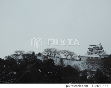 Hikone castle Hikone castle 128641334