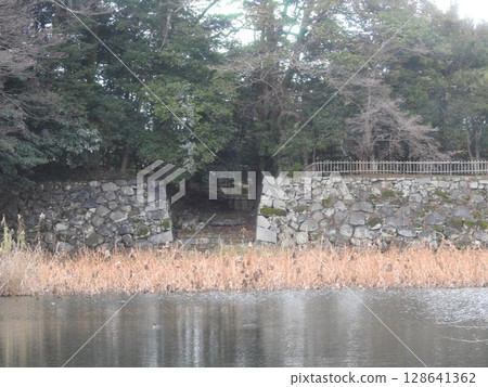 彥根城堡 128641362