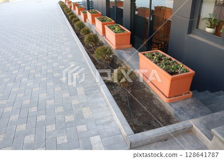 Stylish and Elegant Paved Walkway Designed with Beautiful and Colorful Flower Planters Stylish and Elegant Paved Walkway Designed with Beautiful and Colorful Flower Planters 128641787