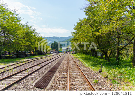 Railroad surrounded by fresh greenery 128641811