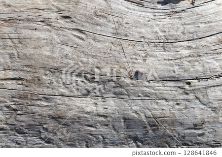Textured Wooden Surface Featuring Beautifully Detailed Natural Grain Patterns of Wood 128641846