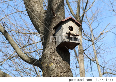 A Charming Birdhouse was Lovingly Nestled in the Crook of a Tree Branch Above the Ground 128641853