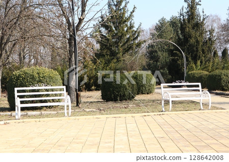 A peaceful and tranquil park scene featuring inviting benches amidst lush greenery and trees A peaceful and tranquil park scene featuring inviting benches amidst lush greenery and trees 128642008