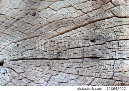 Closeup of weathered wood textures, highlighting unique patterns and designs in nature 128642022