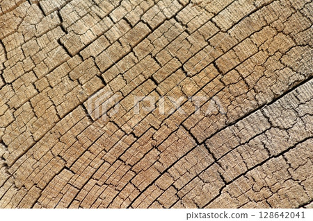 A CloseUp Exploration of Weathered Tree Rings Alongside Cracked and Aged Surface A CloseUp Exploration of Weathered Tree Rings Alongside Cracked and Aged Surface 128642041