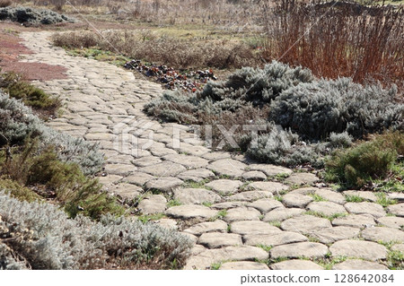 A scenic cobblestone pathway meanders gracefully through an enchanting overgrown garden 128642084