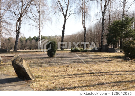 A Serene Landscape Featuring Trees, Rocks, and Greenery in the Beautiful Early Spring Season 128642085