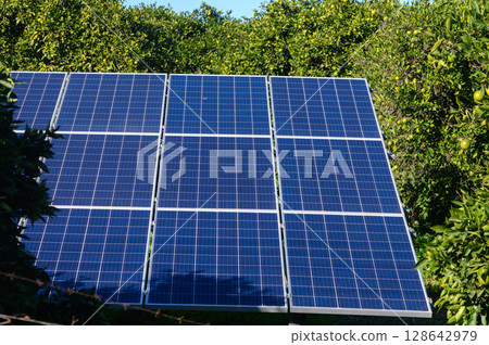 Solar panels harnessing sunlight among vibrant green trees in a sunlit garden. 128642979
