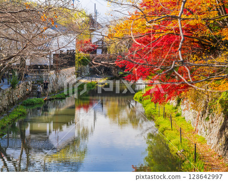 Autumn Omihachiman Hachimanbori 128642997