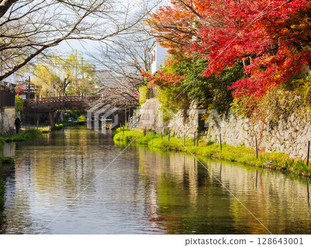 Autumn Omihachiman Hachimanbori Autumn Omihachiman Hachimanbori 128643001