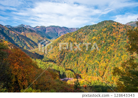 【溫泉鄉的紅葉】從上高地乘鞍超級森林道路眺望白骨溫泉 【溫泉鄉的紅葉】從上高地乘鞍超級森林道路眺望白骨溫泉 128643343