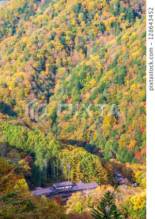 [Autumn leaves in the hot spring town] View of Shirahone Onsen from Kamikochi Norikura Super Forest Road 128643452