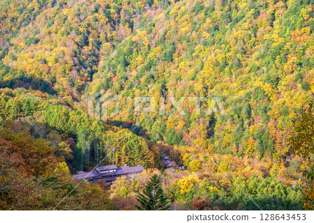 [Autumn leaves in the hot spring town] View of Shirahone Onsen from Kamikochi Norikura Super Forest Road 128643453