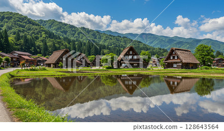 夏日里，白川鄉合掌屋倒映在稻田中 128643564
