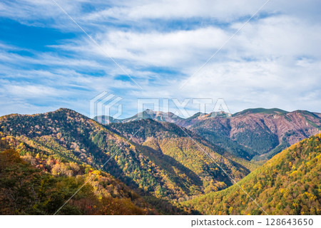 從上高地乘鞍超級森林道路望去，乘著鞍山方向的紅葉 128643650