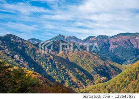 Autumn foliage in the direction of Mount Norikura as seen from the Kamikochi Norikura Super Forest Road 128643652