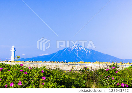 [北海道_稚內_野寒布岬]七月的Rugosa和利尻島 128643722