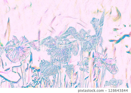 鳶尾花 <已處理> 鳶尾花 <已處理> 128643844