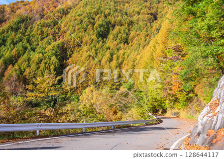Autumn leaves on the Kamikochi Norikura Super Forest Road 128644117