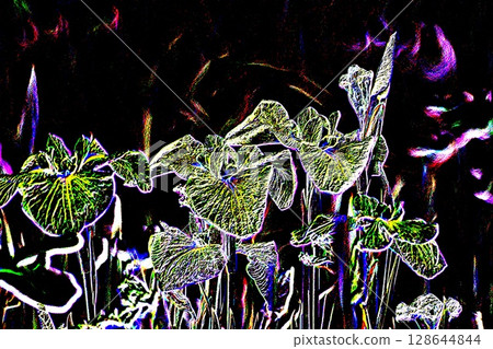 鳶尾花(已處理) 鳶尾花(已處理) 128644844