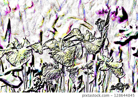 鳶尾花(已處理) 鳶尾花(已處理) 128644845