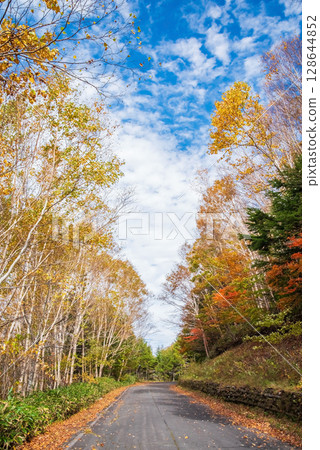 上高地乘鞍超級森林道路的秋葉 128644852